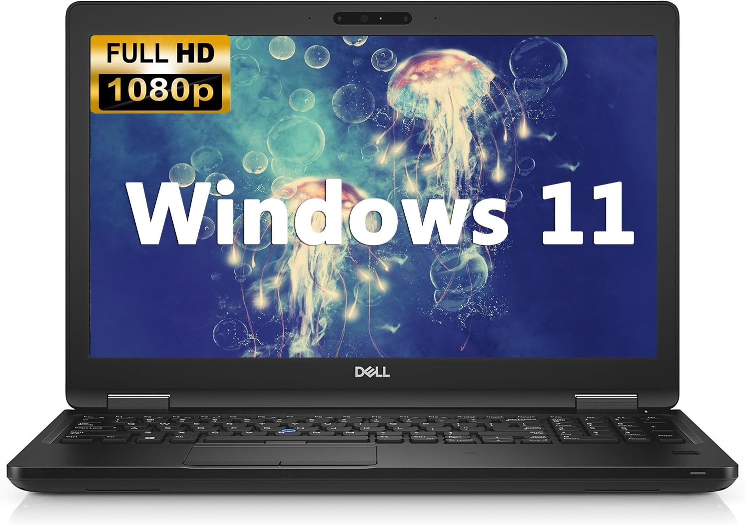 Dell Latitude 3510 i5 10th Gen 8GB 512GB SSD Windows 11 Home | eBay